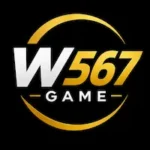 W567 Game